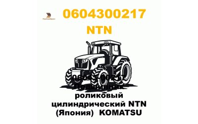 06043-00217 Подшипник роликовый цилиндрический NTN (Япония) KOMATSU 06043-00217 Подшипник роликовый цилиндрический NTN (Япония) KOMATSU