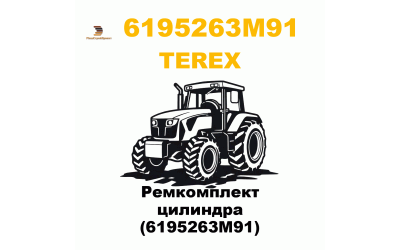 Ремкомплект цилиндра (6195263M91)