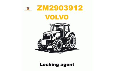 Locking agent