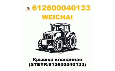 Крышка клапанная (STEYR/612600040133)