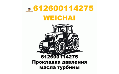 612600114275 Прокладка давления масла турбины 612600114275 Прокладка давления масла турбины