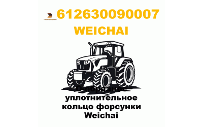 О-образное уплотнительное кольцо форсунки Weichai О-образное уплотнительное кольцо форсунки Weichai