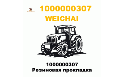 1000000307 Резиновая прокладка