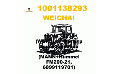 1001138293 (WEICHAI) Фильтр центробежный масляный (MANN+Hummel FM200-21, 6899119701) 1001138293 (WEICHAI) Фильтр центробежный масляный (MANN+Hummel FM200-21, 6899119701)