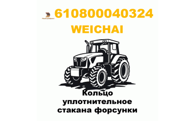 Кольцо уплотнительное стакана форсунки