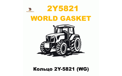 Кольцо 2Y-5821 (WG) Кольцо 2Y-5821 (WG)