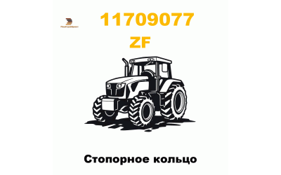 Стопорное кольцо