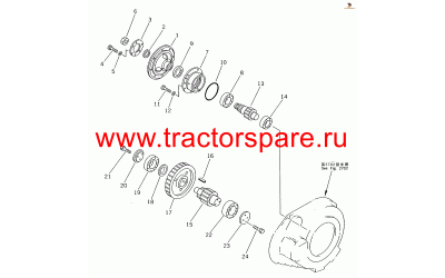 SEAL,OIL SEAL,OIL