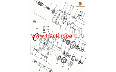 SEAL,OIL SEAL,OIL