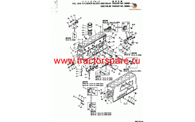 COVER COVER